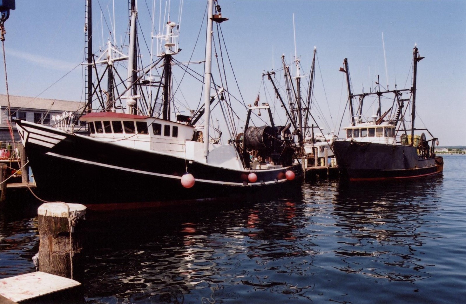 boats