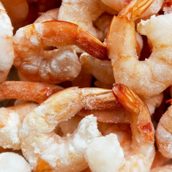 bearings for seafood flash freeze conveyors