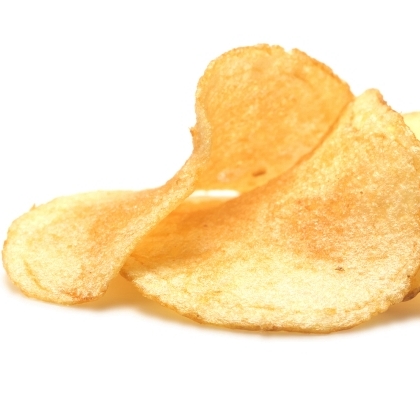 Potato Chip Fryer Bearings